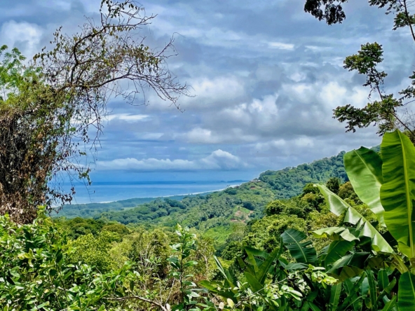 6.95-acres-ocean-view-costa-rica