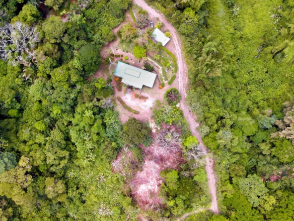 6.95-acres-ocean-view-costa-rica