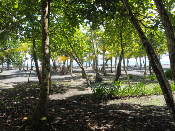 lote-libertad-playa-zancudo-lot-for-sale