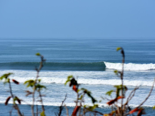 palo alto ranch waves