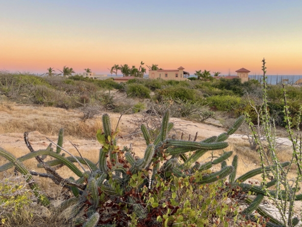 playa-tortuga-lot-34-east-cape-baja-california