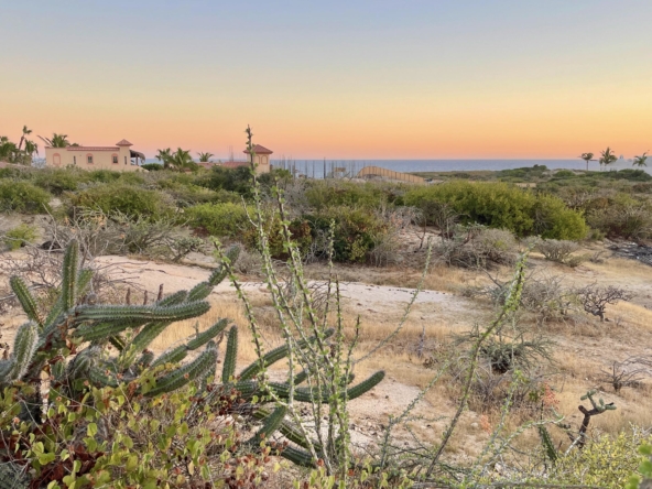 playa-tortuga-lot-34-east-cape-baja-california