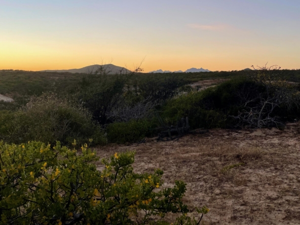 playa-tortuga-lot-34-east-cape-baja-california