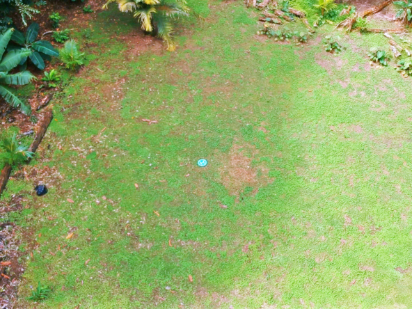 pavones-2-hectares-with-creek