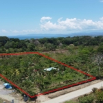 finca-cacao-pavones-costa-rica