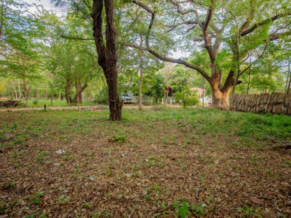 hacienda-iguana-surf-lot-M-24