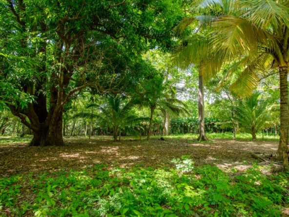 hacienda-iguana-surf-lot-R-18
