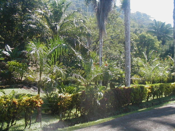 ocean-view-lot-golfito