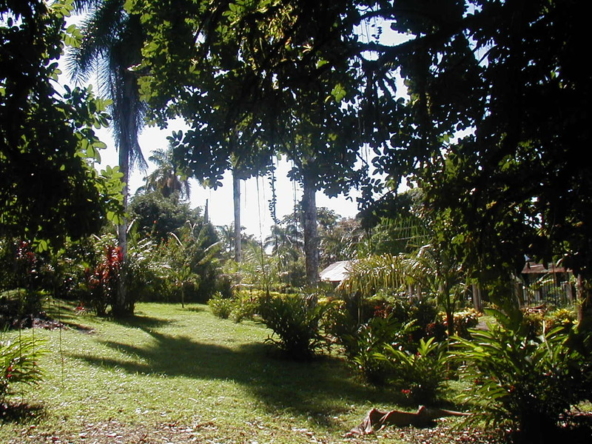ocean-view-lot-golfito