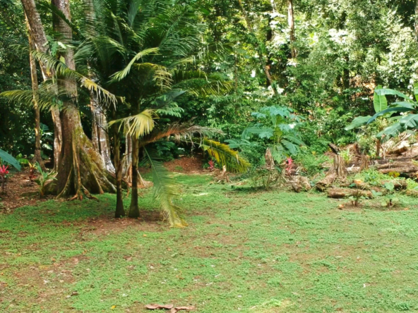 pavones-2-hectares-with-creek
