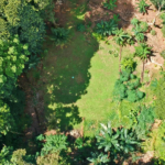 pavones-2-hectares-with-creek