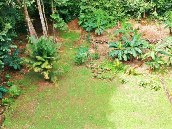 pavones-2-hectares-with-creek