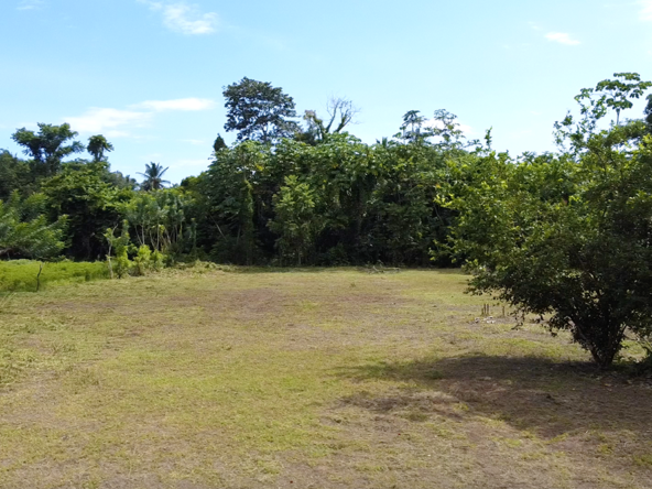 langostino-beach-lot-costa-rica-for-sale