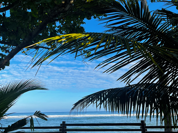 indonesia-villa-for-sale