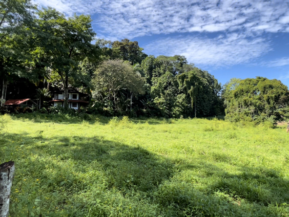 pavones-sawmill-lot-5000-sq-mtrs