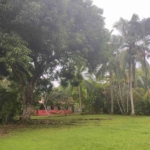 pilon-beach-house-pavones