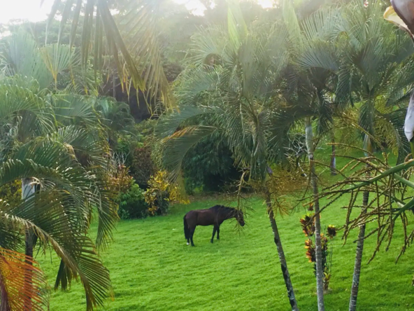 infinity_jungle_lounge_costa_rica_vacation_rental