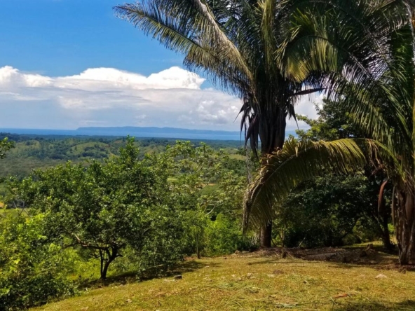 rio-coto-property-23-hectares