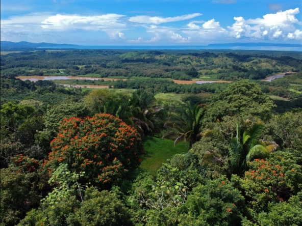 rio-coto-property-23-hectares