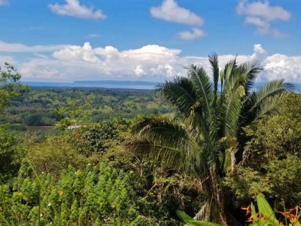 rio-coto-property-23-hectares