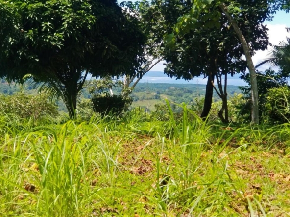 rio-coto-property-23-hectares