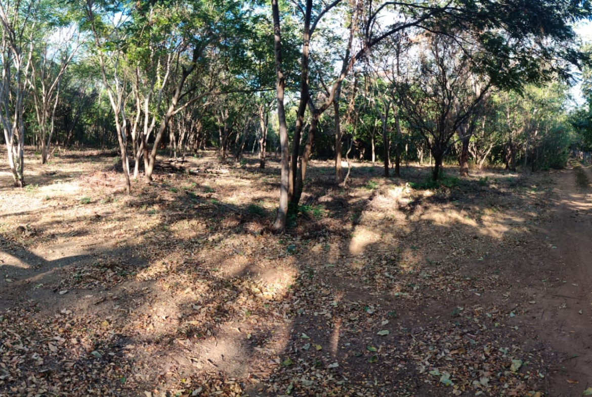 playgrounds-lots-for-sale