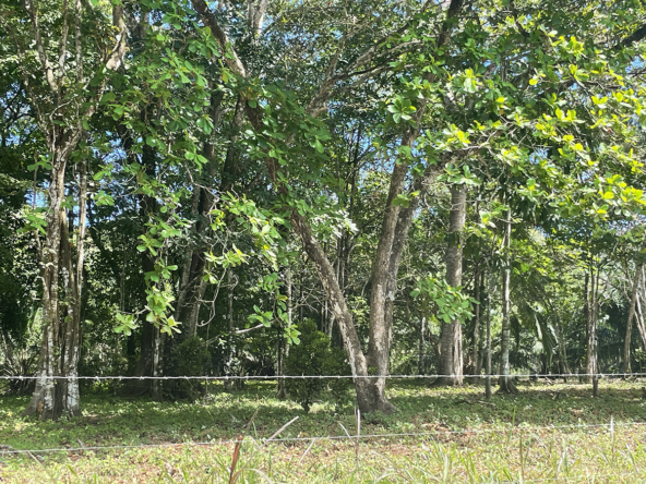 Playa-Zancudo-Arena-Alta-Lot-1526-M2