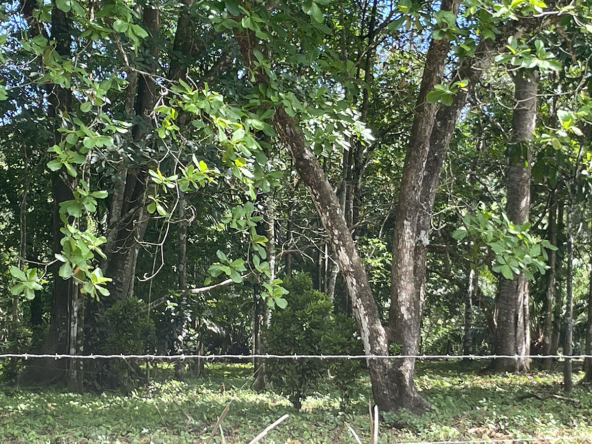 Playa-Zancudo-Arena-Alta-Lot-1526-M2