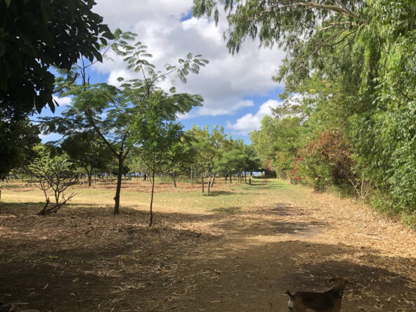 rancho-anthony-nicaragua-for-sale