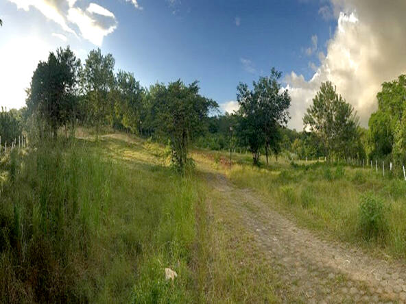 rancho-anthony-nicaragua-for-sale
