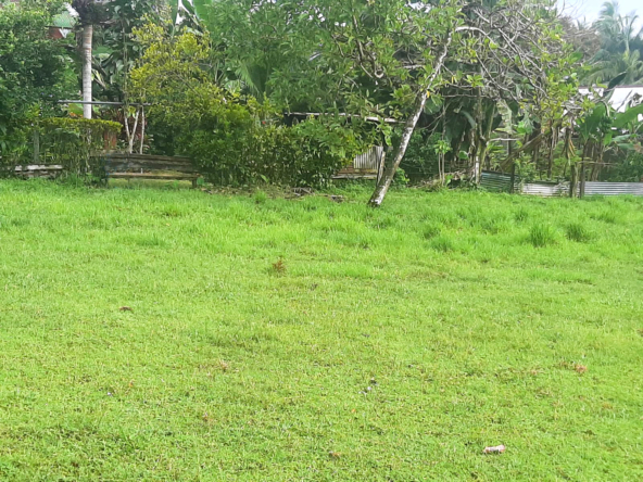 punta-banco-pavones-beach-lot-for-sale