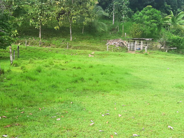 punta-banco-pavones-beach-lot-for-sale