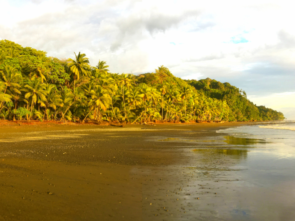 punta-banco-pavones-beach-lot-for-sale