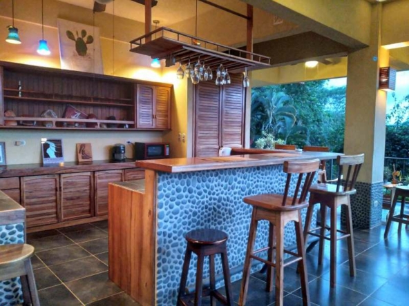 tropical-luxury-pavones-villa