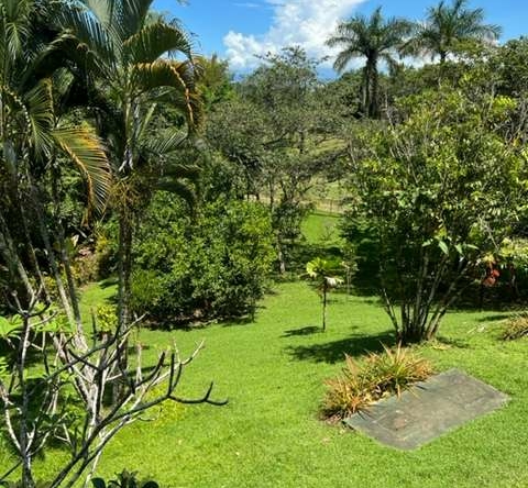 tropical-luxury-pavones-villa