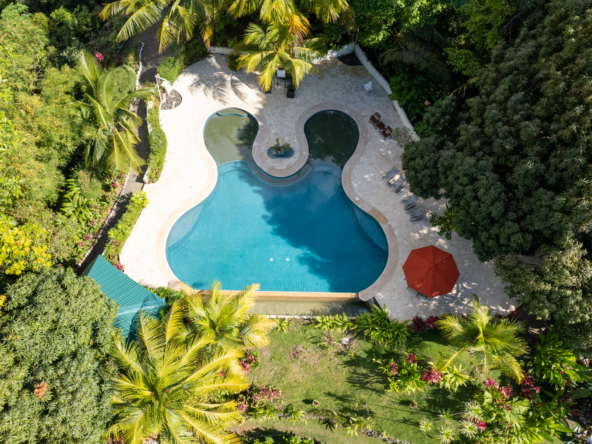 ultimate-eco-lodge-laguna-vista-surrounded-by-natural-lagoon-osa-peninsula