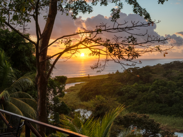 ultimate-eco-lodge-laguna-vista-surrounded-by-natural-lagoon-osa-peninsula