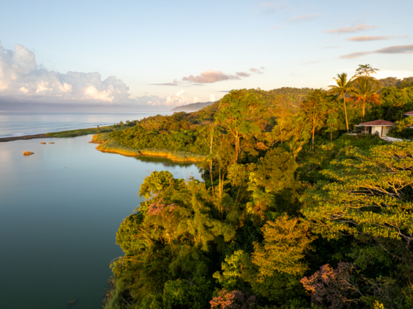 ultimate-eco-lodge-laguna-vista-surrounded-by-natural-lagoon-osa-peninsula