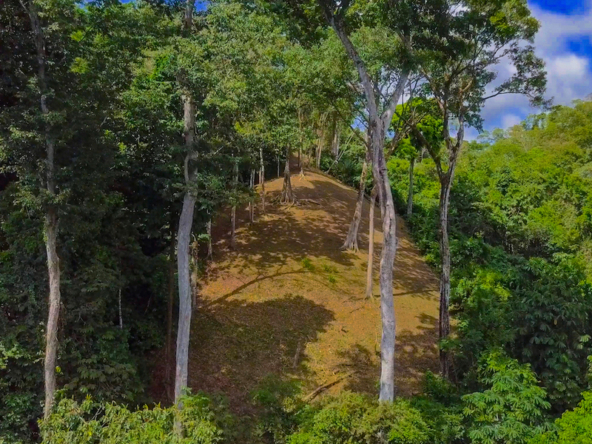 75-acres-matapalo-costa-rica