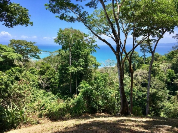 75-acres-matapalo-costa-rica