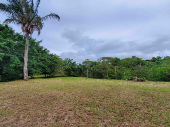 agua-buena-de-pavones-lot-for-sale