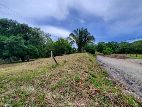 agua-buena-de-pavones-lot-for-sale