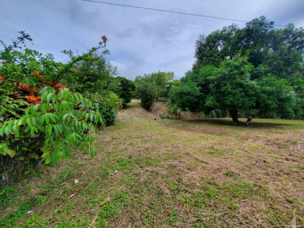 agua-buena-de-pavones-lot-for-sale