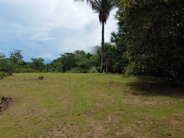 agua-buena-de-pavones-lot-for-sale