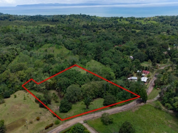 agua-buena-de-pavones-lot-for-sale