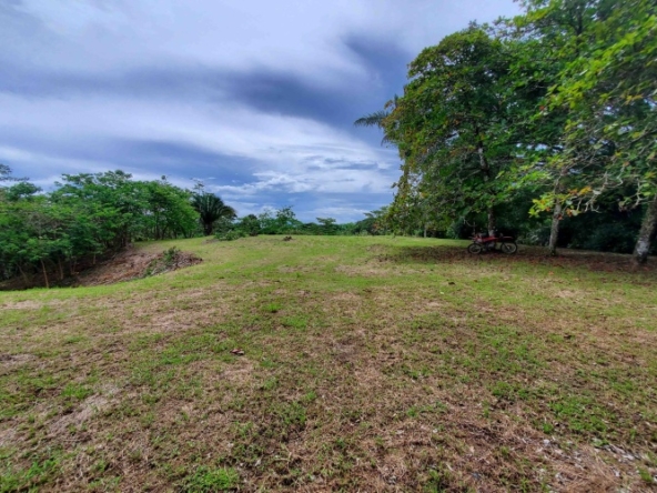 agua-buena-de-pavones-lot-for-sale