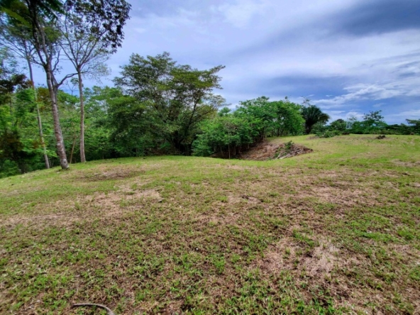 agua-buena-de-pavones-lot-for-sale