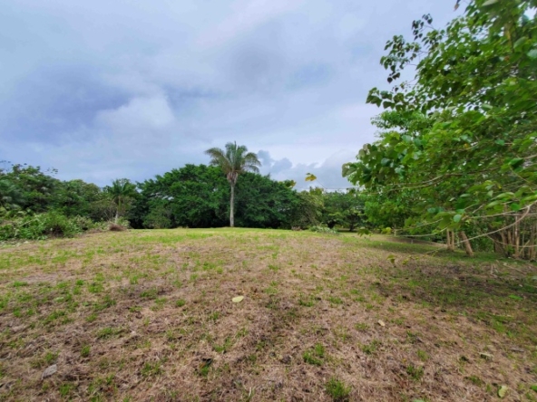 agua-buena-de-pavones-lot-for-sale