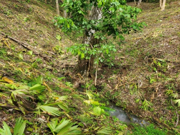 agua-buena-de-pavones-lot-for-sale