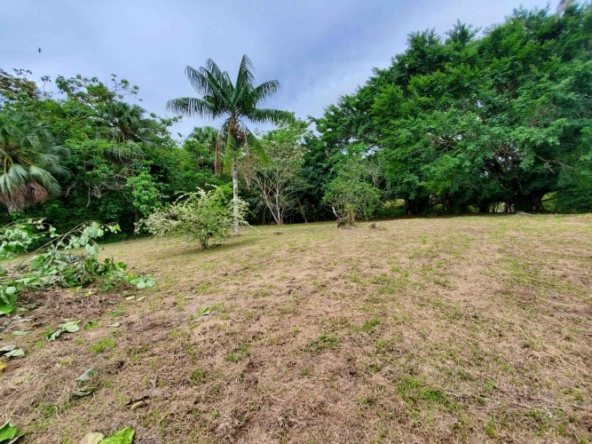 agua-buena-de-pavones-lot-for-sale